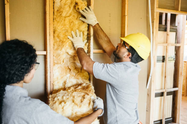 Best Cellulose Insulation  in Caway, AR
