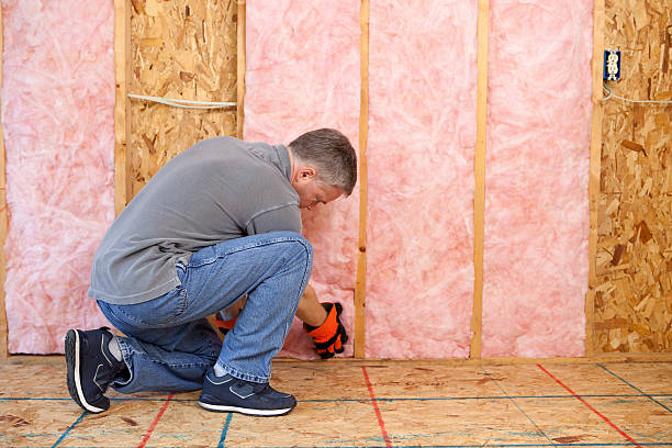 Best Blown-in Insulation  in Caway, AR