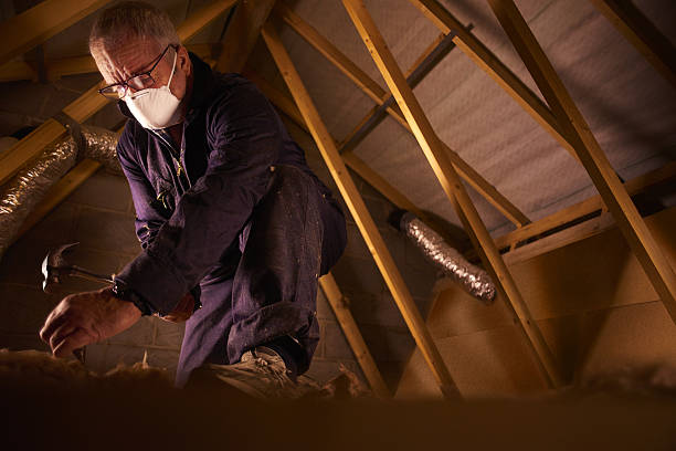 Best Soundproof Insulation Installation  in Caway, AR